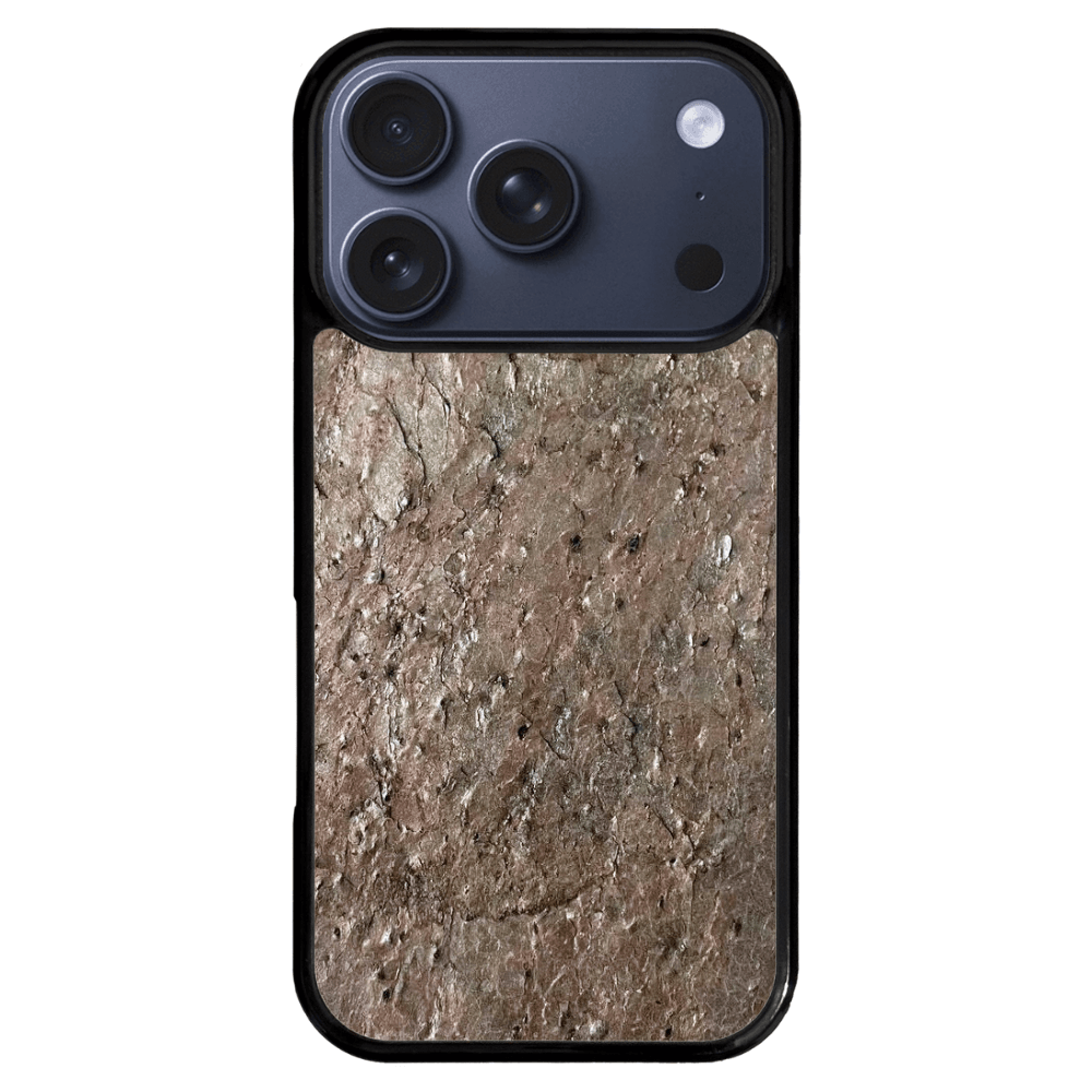 Silver Pine Stone iPhone 17 Pro Case