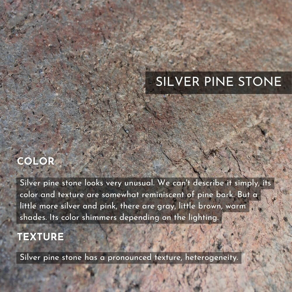 Silver Pine Stone iPhone XS Case