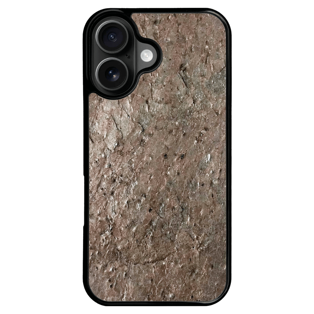 Silver Pine Stone iPhone 16 Case