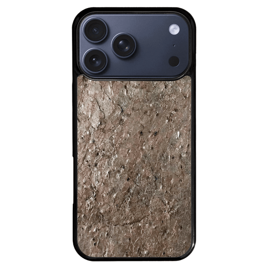 Silver Pine Stone iPhone 17 Pro Max Case
