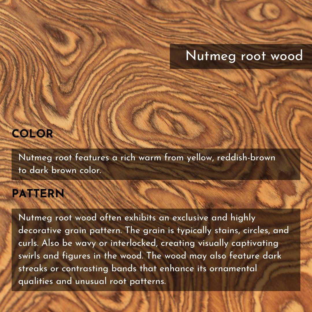Nutmeg root Wood iPhone Case