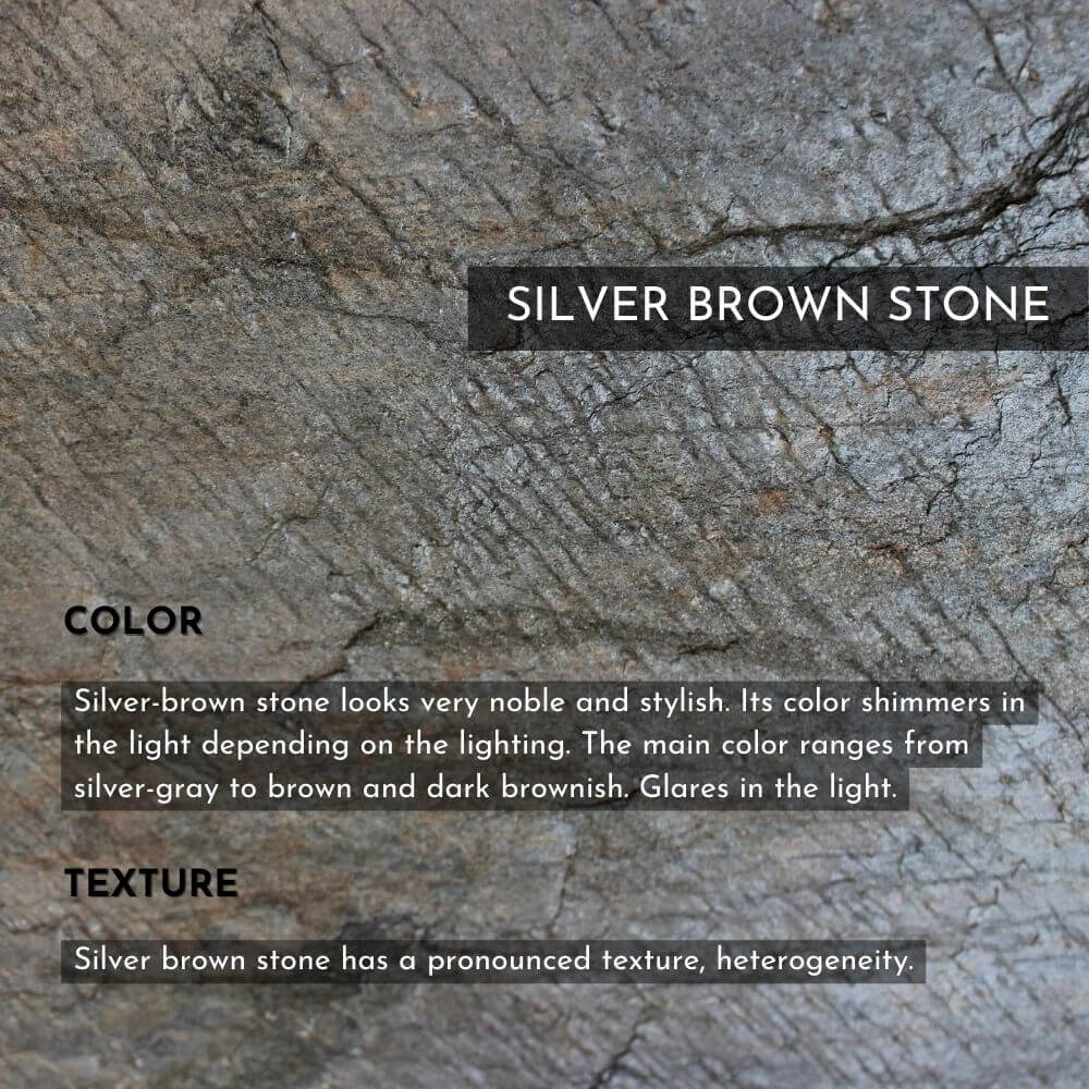 Silver Brown Stone Galaxy S23 Plus Case