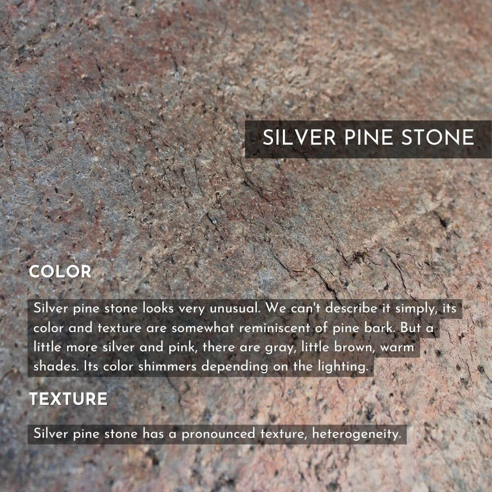 Silver Pine Stone iPhone 15 Pro Case
